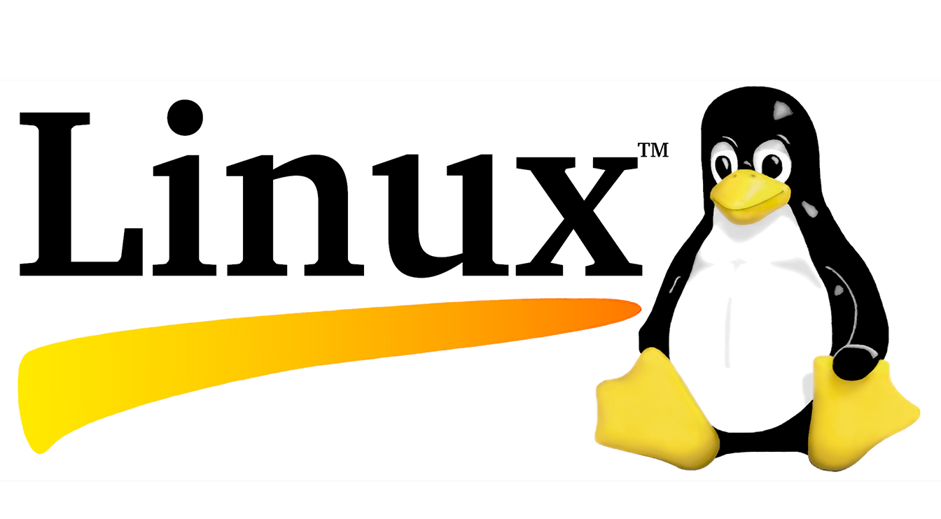 Tại sao nên chọn Linux khi thuê SEO Hosting?